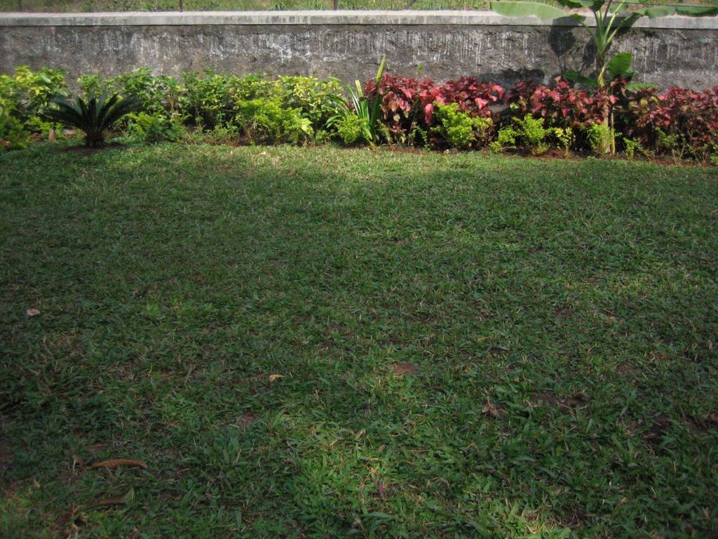 Hotel Ferreira Resort Lonavala Eksteriør billede